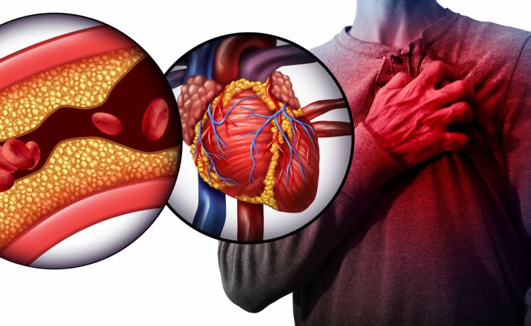 fot. shutterstock.com