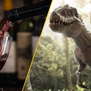 Co oznacza to słowo? Odmianę szlachetnego wina czy prehistorycznego dinozaura?