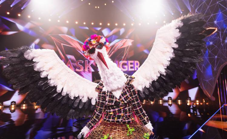 "Mask Singer". Nie ma już żadnych wątpliwości? Widzowie są pewni, kim jest Bocian