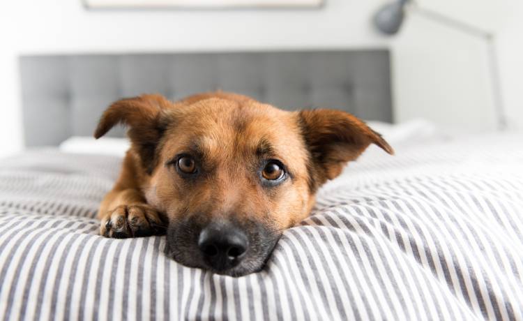 fot. shutterstock.com