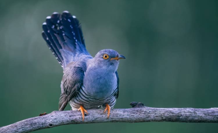 fot. shutterstock.com