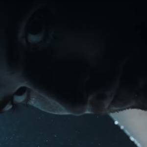 Eurowizja 2019. Jest absolutnym faworytem bukmacherów. To on wygra konkurs?    