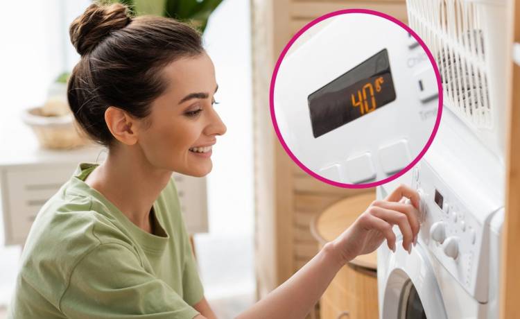 fot. shutterstock.com 