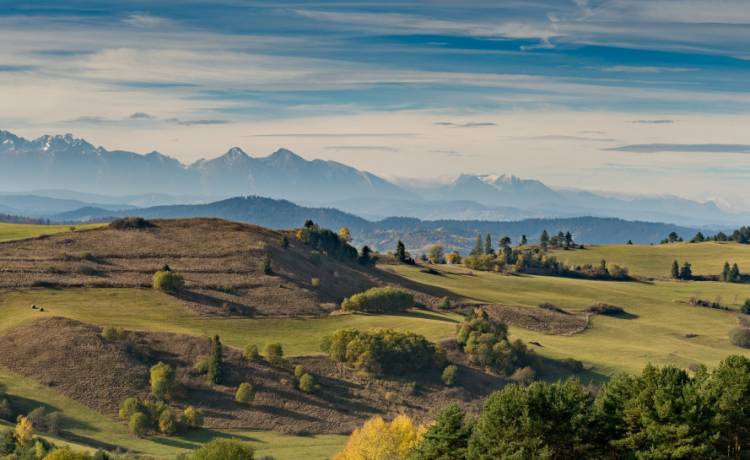 fot. shutterstock.com