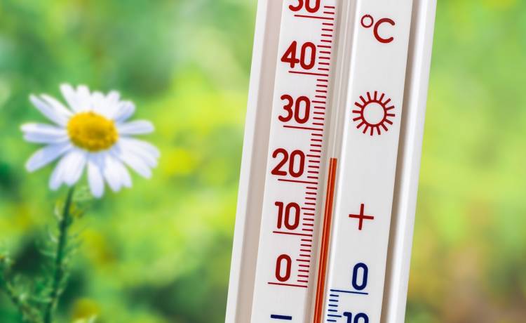 Nadchodzi prawdziwy powiew wiosny! Nawet 20 stopni Celsjusza na termometrach