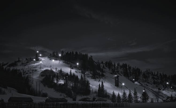 fot. Shutterstock, zdj. ilustracyjne