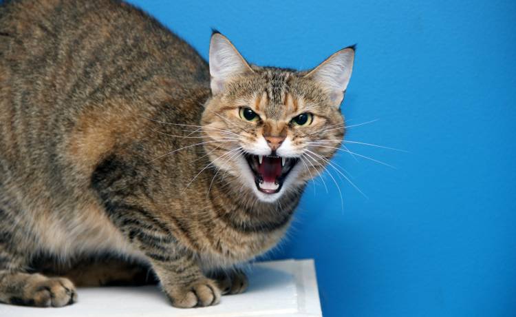 zdjęcie ilustracyjne, fot. Shutterstock/Anastasia Tveretinova