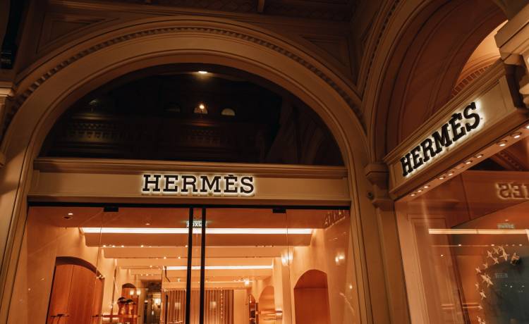 Fot. Shutterstock/Xeniia X