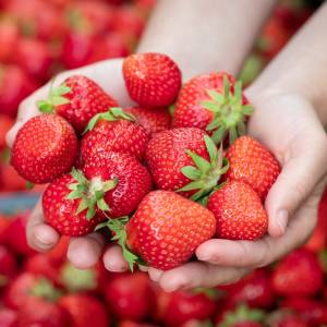 Mrożenie truskawek - jak to zrobić? O czym trzeba pamiętać?