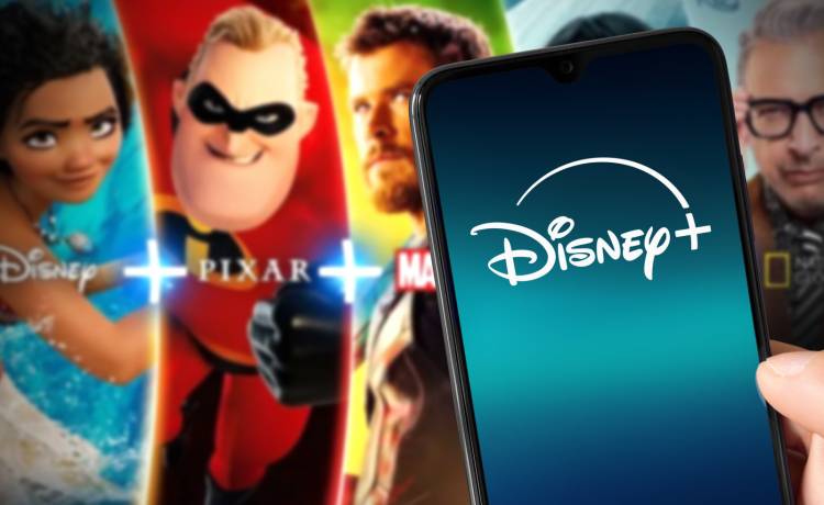 Miguel Lagoa/Shutterstock