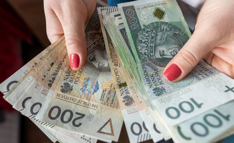 Fot. Shutterstock/RomanR