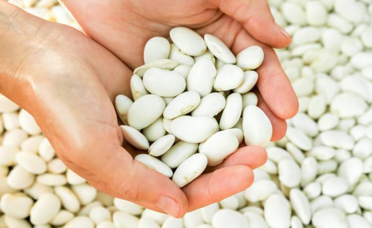 fot. shutterstock.com