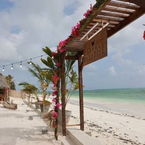 "Hotel Paradise 3" i "Love Island 3". Kiedy premiera? Znamy daty