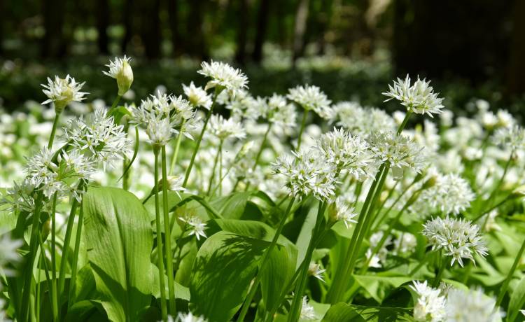 fot. shutterstock.com