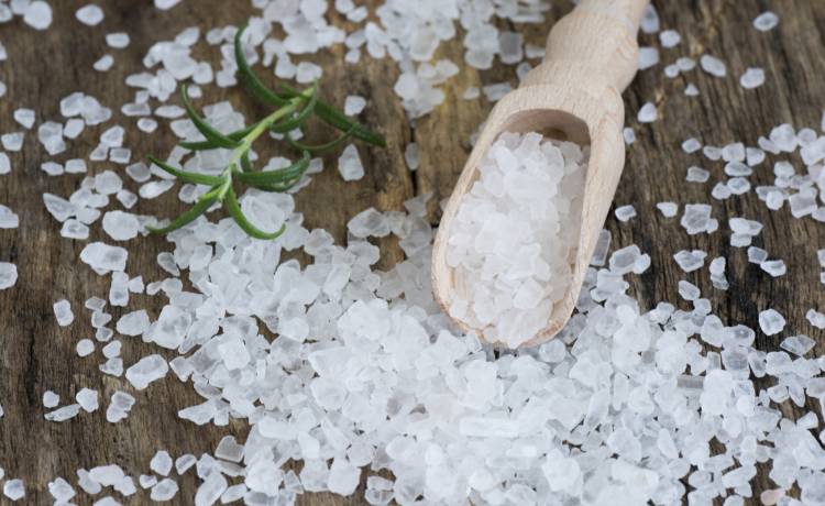 fot. shutterstock.com 