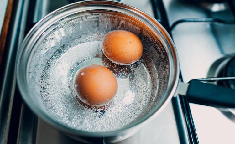 fot. shutterstock.com