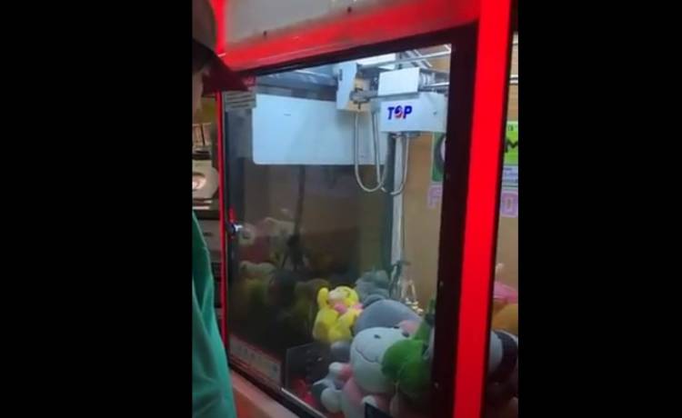 Niecodzienna "nagroda" w automacie z zabawkami. Wszystko nagrała kamera! [WIDEO]