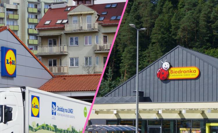 Gdzie zakupy spożywcze będą kosztować najmniej? Fot. Arkadiusz Ziolek/East News; Zofia i Marek Bazak/East News