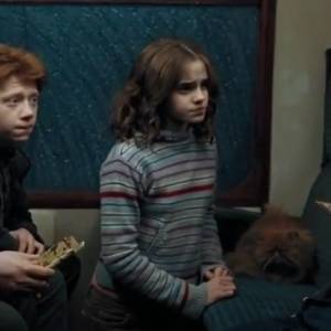 Ukryta scena intymnego zbliżenia w "Harrym Potterze"?! To nagranie to hit! [WIDEO]                                                           