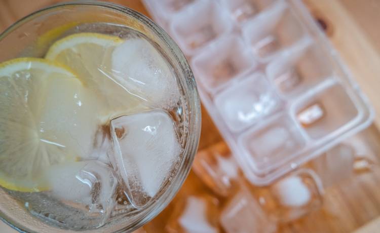 Fot. Shutterstock/neurobit