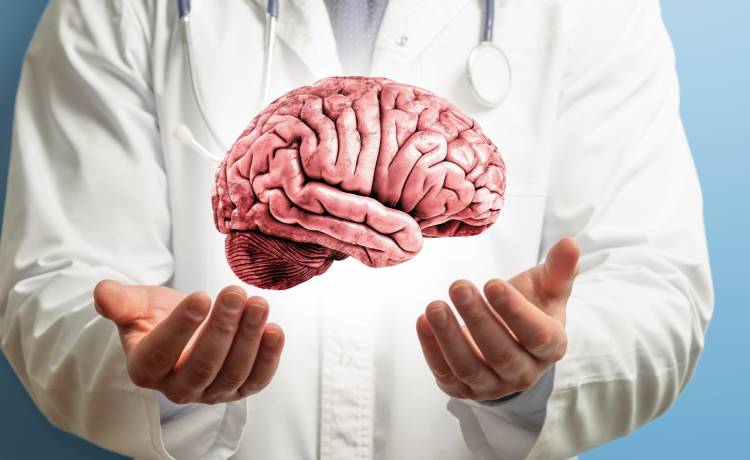 fot. shutterstock.com