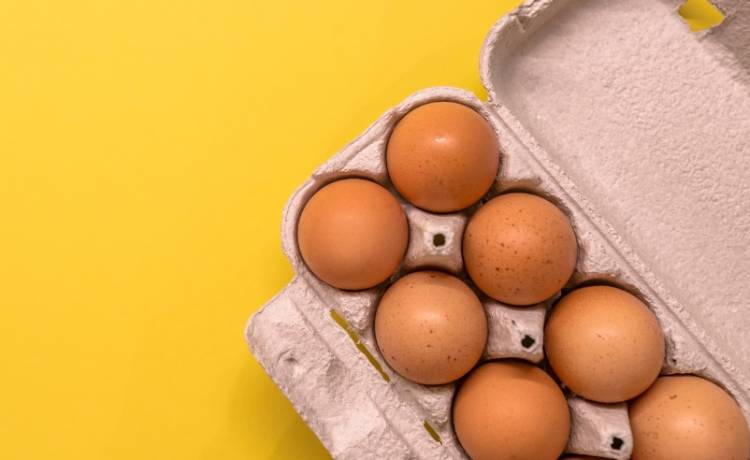 Salmonella na powierzchni jaj. GIS ostrzega!