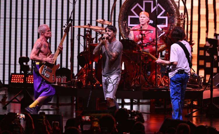 Rex Features/East News