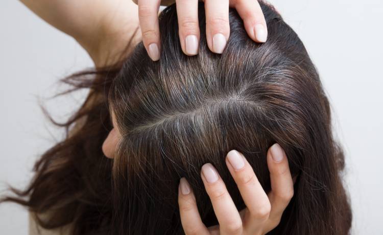 fot. shutterstock.com