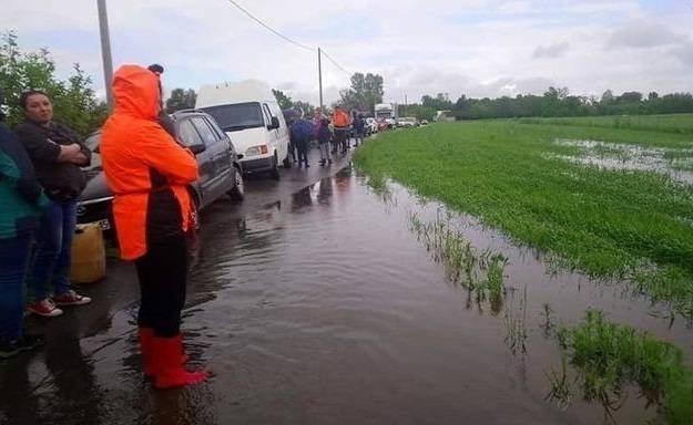 "Wszystkie psy są bezpieczne"! Sukces akcji ratowania zwierząt z zalanego schroniska!