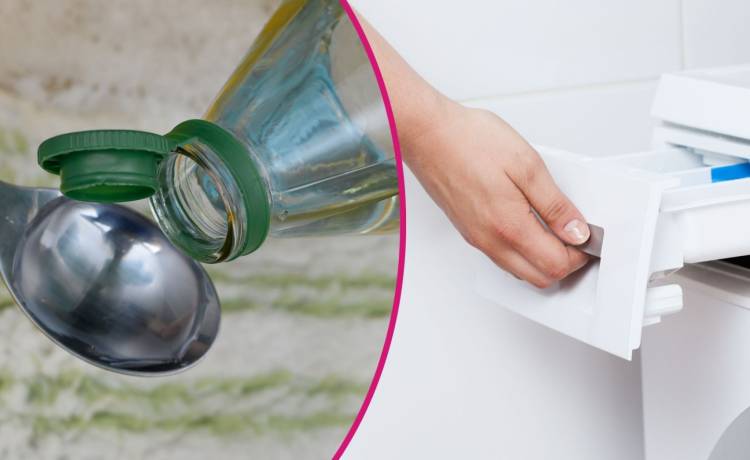 fot. shutterstock.com