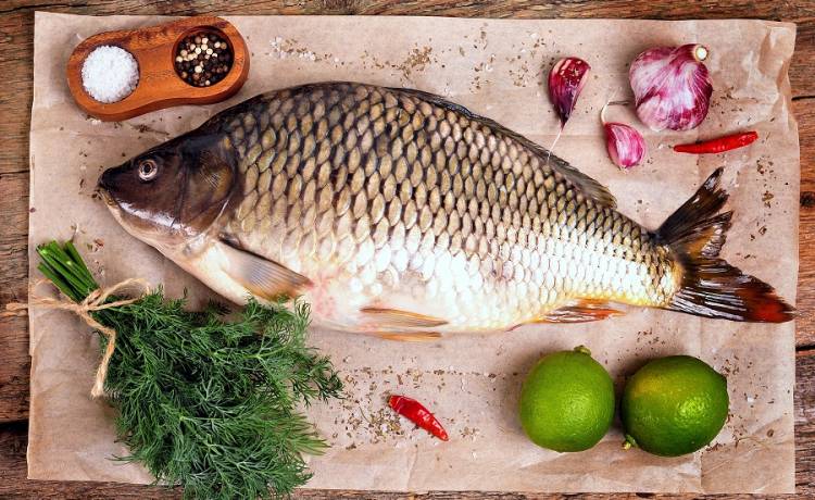 Wszystko, co powinieneś wiedzieć o karpiu (i innych rybach), by już nigdy nie smakowały mułem czy błotem! 3 proste sposoby