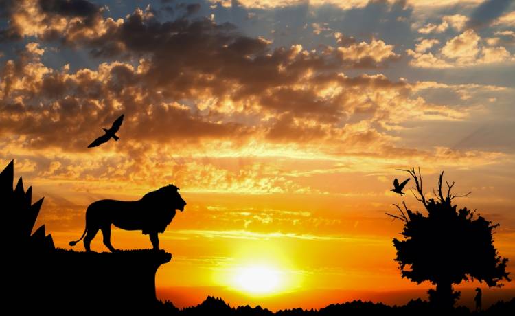 Ścieżka dźwiękowa do filmu "Król Lew" już w sieci!                                                                