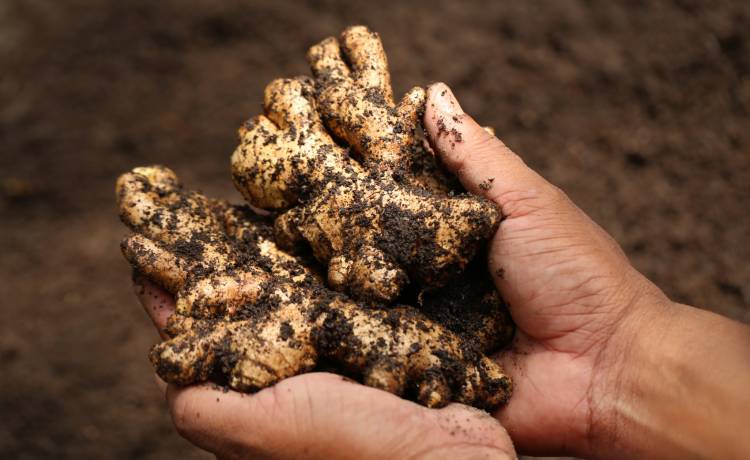 fot. shutterstock.com 