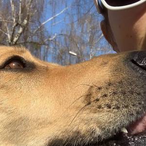 Pies zmasakrował aktorce twarz. Teraz schronisko odpowiada: "To jej zachowanie do tego doprowadziło"                                                               