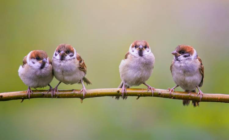 fot. shutterstock.com