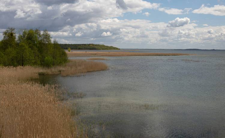 Skuter wodny wpadł między plażowiczów. "Jego 24-letni sternik wcześniej z niego wypadł"