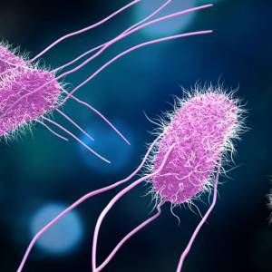 GIS ostrzega przed Salmonellą w waflach. Sprawdź, czy nie masz ich w domu!