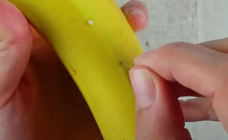 Wbij igłę w skórkę banana i zobacz, co niezwykłego się wydarzy! [WIDEO]