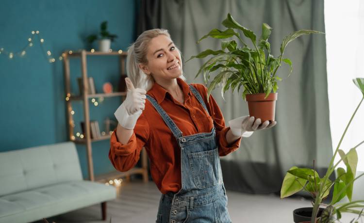 fot. shutterstock.com