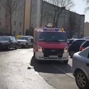 Strażacy tańczą "kaczuszki", a Król Julian czyta rządowe zalecenia! Musisz to zobaczyć! [WIDEO]