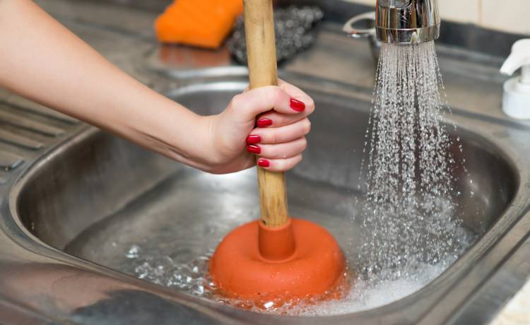 fot. shutterstock.com