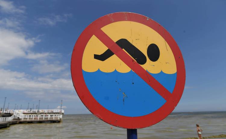 Niebezpieczne toksyny w Bałtyku?! Sanepid zamknął niektóre kąpieliska