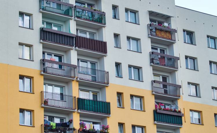 Powrót "laguna". Kobieta wezwała służby, twierdząc, że widzi węża