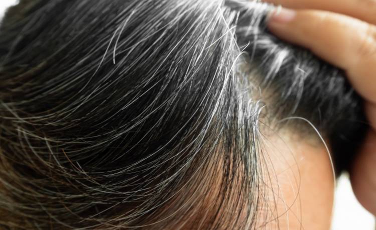 fot. shutterstock.com