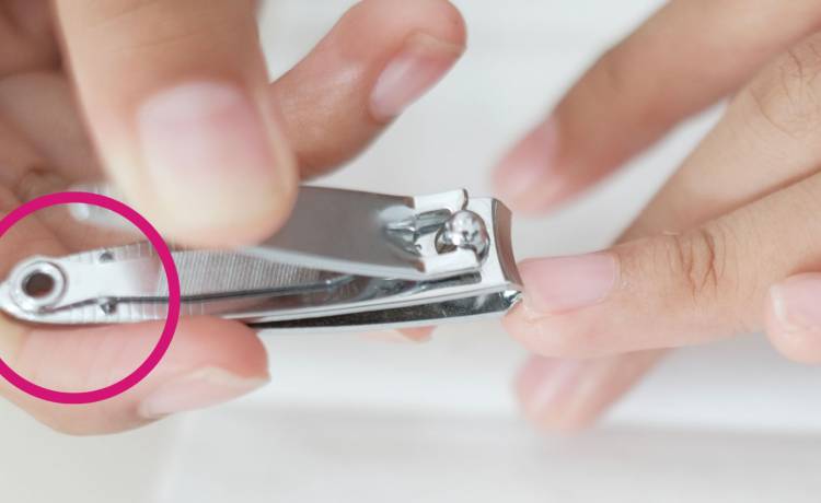 fot. shutterstock.com