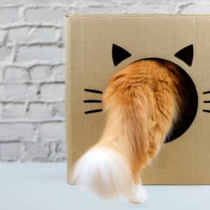 Kot utknął w szybie wentylacyjnym. By mu pomóc, strażacy wywiercili dziurę w ścianie! [ZDJĘCIA]