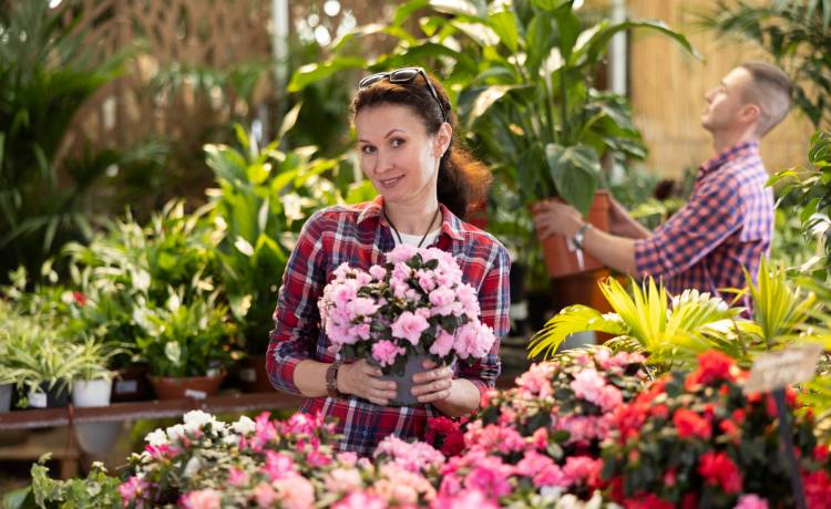 fot. shutterstock.com