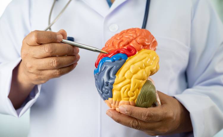 fot. shutterstock.com