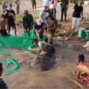 Złowiono największą rybę słodkowodną w historii. Opublikowano wideo [NAGRANIE]