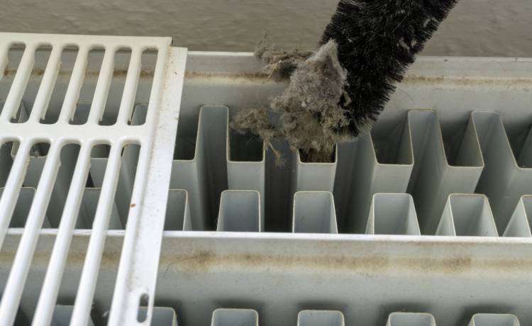 fot. shutterstock.com